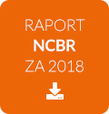 Ikona - raport NCBR za 2018 - plik do pobrania